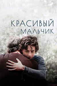 Красивый мальчик Красивый мальчик