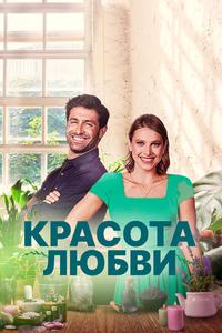Красота любви Красота любви