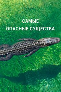 Самые опасные существа Самые опасные существа