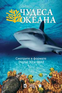 Чудеса океана Чудеса океана