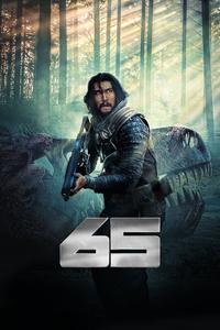 65 65