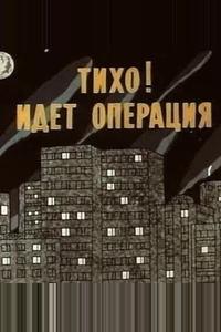 Тихо! Идет операция Тихо! Идет операция