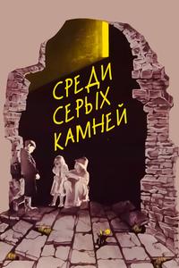 Среди серых камней Среди серых камней