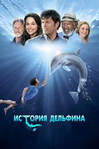 История дельфина История дельфина