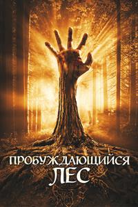 Пробуждающийся лес Пробуждающийся лес