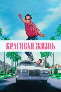 Красивая жизнь Красивая жизнь