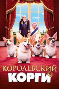 Королевский корги Королевский корги
